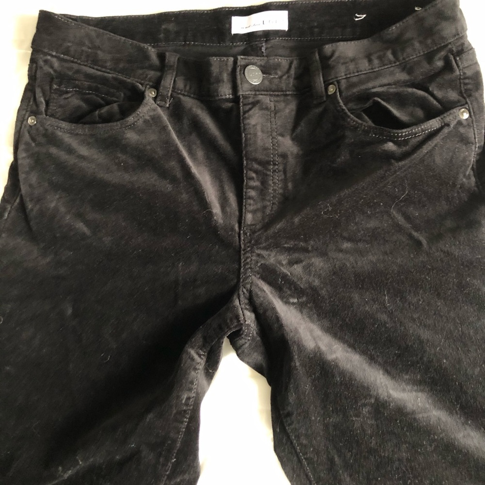 Loft velvet modern skinny pants